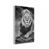 MuchoWow Impression Sur Verre Animaux - Noir - Blanc - Profil Tableau Decoratio...