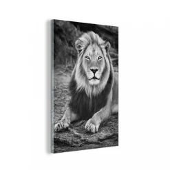 MuchoWow Impression Sur Verre Animaux - Noir - Blanc - Profil Tableau Decoratio...