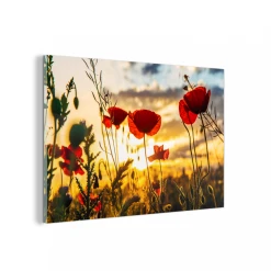 MuchoWow Impression Sur Verre Coquelicots Rouges Au Lever Du Soleil Tableau Dec...