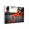 MuchoWow Impression Sur Verre Coquelicots Rouges Sur Fond Noir Et Blanc Tableau...