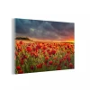 MuchoWow Impression Sur Verre Coucher De Soleil - Coquelicots - Rouge Tableau D...