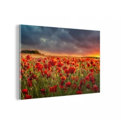 MuchoWow Impression Sur Verre Coucher De Soleil - Coquelicots - Rouge Tableau D...