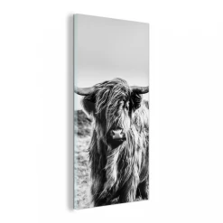 MuchoWow Impression Sur Verre Highlander écossais - Vache - Noir - Blanc Table...