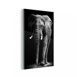 MuchoWow Impression Sur Verre Éléphant - Noir - Blanc - Animaux Sauvages Tabl...
