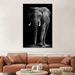MuchoWow Impression Sur Verre Éléphant - Noir - Blanc - Animaux Sauvages Tabl... -Dekliktableau Magasin impression sur verre lephant noir blanc animaux sauvages tableau decoration murale salon 100x150 cm tableau sur verre acrylique 12477826 33302248 1140x1140
