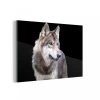 MuchoWow Impression Sur Verre Loup Gris Sauvage Tableau Decoration Murale Salon...