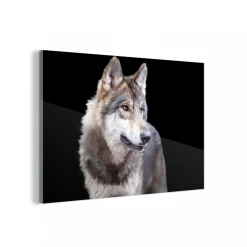 MuchoWow Impression Sur Verre Loup Gris Sauvage Tableau Decoration Murale Salon...