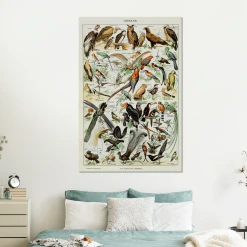 MuchoWow Impression Sur Verre Oiseau - Animaux - Nature Tableau Decoration Mura... -Dekliktableau Magasin impression sur verre oiseau animaux nature tableau decoration murale salon 100x150 cm tableau sur verre acrylique 12475190 33294096 1140x1140