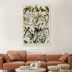 MuchoWow Impression Sur Verre Oiseau - Animaux - Nature Tableau Decoration Mura... -Dekliktableau Magasin impression sur verre oiseau animaux nature tableau decoration murale salon 100x150 cm tableau sur verre acrylique 12475190 33294098 1140x1140