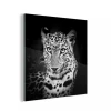 MuchoWow Impression Sur Verre Panthère - Noir - Blanc Tableau Decoration Mural...
