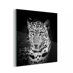 MuchoWow Impression Sur Verre Panthère - Noir - Blanc Tableau Decoration Mural...