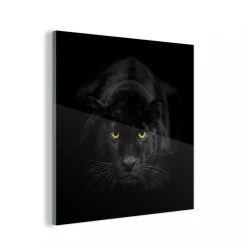 MuchoWow Impression Sur Verre Panthère - Noir - Jaune Tableau Decoration Mural...