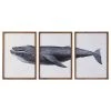 Jeu De 3 Tableaux DKD Home Decor Baleine (150 X 2 X 70 Cm)