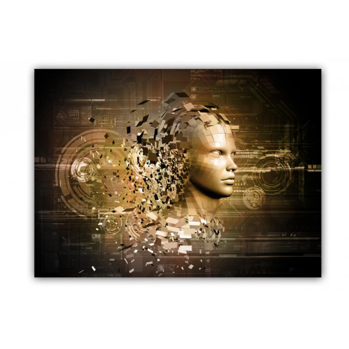 DECLIKTABLEAU Tableau Abstrait Femme Dorée En Morceau X L.80 X H.55 Cm 1 DECLIKTABLEAU Tableau Abstrait Femme Dorée En Morceau X L.80 X H.55 Cm