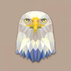 DECLIKTABLEAU Tableau Animaux Aigle 60X60