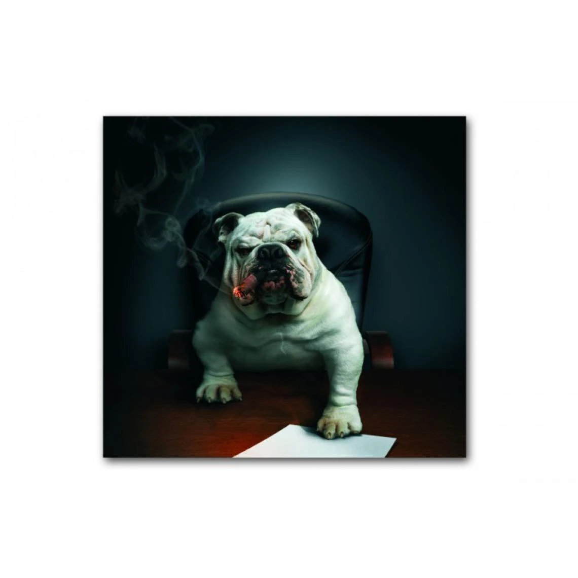 DECLIKTABLEAU Tableau Animaux Chien Bulldog Avec Cigare 80X80 Cm 1 DECLIKTABLEAU Tableau Animaux Chien Bulldog Avec Cigare 80X80 Cm