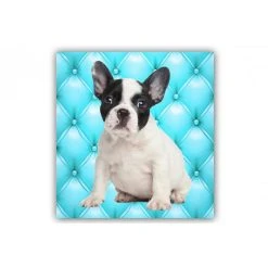 DECLIKTABLEAU Tableau Animaux Chien Bulldog Fond Bleu Turquoise Capitonné 50X50 Cm
