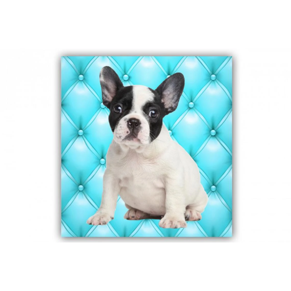 DECLIKTABLEAU Tableau Animaux Chien Bulldog Fond Bleu Turquoise Capitonné 50X50 Cm 1 DECLIKTABLEAU Tableau Animaux Chien Bulldog Fond Bleu Turquoise Capitonné 50X50 Cm