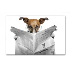 DECLIKTABLEAU Tableau Animaux Chien Lisant Le Journal L.55 X H.80 Cm