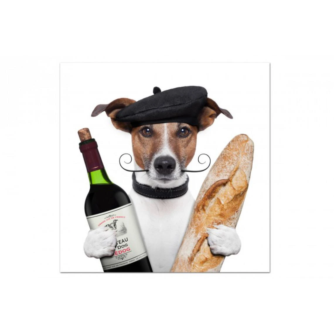 DECLIKTABLEAU Tableau Animaux Chien Parisien 50X50 Cm 1 DECLIKTABLEAU Tableau Animaux Chien Parisien 50X50 Cm