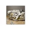 DECLIKTABLEAU Tableau Animaux Dalmatien Sur Fauteuil 50X50 Cm
