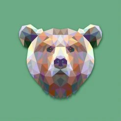 DECLIKTABLEAU Tableau Animaux Ours Vert 50X50