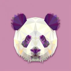 DECLIKTABLEAU Tableau Animaux Panda 50X50
