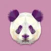 DECLIKTABLEAU Tableau Animaux Panda 80X80