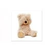 DECLIKTABLEAU Tableau Enfant Ourson Timide 80X80 Cm