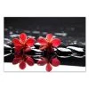 DECLIKTABLEAU Tableau Floral Fleurs Rouges Sur Fond Noir 80 X 55 Cm