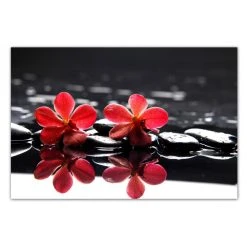 DECLIKTABLEAU Tableau Floral Fleurs Rouges Sur Fond Noir 80 X 55 Cm