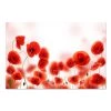 DECLIKTABLEAU Tableau Floral Parterre De Coquelicot L.80 X H.55 Cm