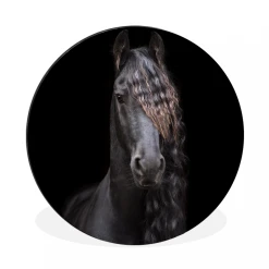 MuchoWow Tableau Imprimé Rond Cheval - Frison - Crinière Impression Sur Alumi...
