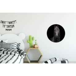 MuchoWow Tableau Imprimé Rond Cheval - Frison - Crinière Impression Sur Alumi... -Dekliktableau Magasin tableau imprime rond cheval frison criniere impression sur aluminium en rond 30x30 cm tableau decoration murale salon 12467814 33271204 1140x1140