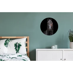 MuchoWow Tableau Imprimé Rond Cheval - Frison - Crinière Impression Sur Alumi... -Dekliktableau Magasin tableau imprime rond cheval frison criniere impression sur aluminium en rond 30x30 cm tableau decoration murale salon 12467814 33271206 1140x1140