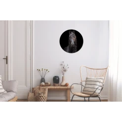 MuchoWow Tableau Imprimé Rond Cheval - Frison - Crinière Impression Sur Alumi... -Dekliktableau Magasin tableau imprime rond cheval frison criniere impression sur aluminium en rond 30x30 cm tableau decoration murale salon 12467814 33271208 1140x1140