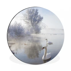 MuchoWow Tableau Imprimé Rond Cygnes - Eau - Hiver Impression Sur Aluminium En...