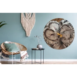 MuchoWow Tableau Imprimé Rond Hiboux - Oiseaux - Becs - Famille Impression Sur... -Dekliktableau Magasin tableau imprime rond hiboux oiseaux becs famille impression sur aluminium en rond 120x120 cm tableau decoration murale salon 12439432 33185050 1140x1140