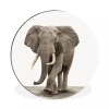 MuchoWow Tableau Imprimé Rond Éléphant - Décoration Murale - Salon - Chambr...