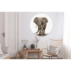 MuchoWow Tableau Imprimé Rond Éléphant - Décoration Murale - Salon - Chambr... -Dekliktableau Magasin tableau imprime rond lephant decoration murale salon chambre a coucher impression sur aluminium en rond 140x140 cm tableau decoration murale salon 12444752 33201282 1140x1140