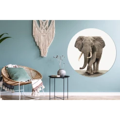 MuchoWow Tableau Imprimé Rond Éléphant - Décoration Murale - Salon - Chambr... -Dekliktableau Magasin tableau imprime rond lephant decoration murale salon chambre a coucher impression sur aluminium en rond 140x140 cm tableau decoration murale salon 12444752 33201284 1140x1140
