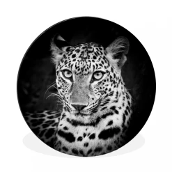 MuchoWow Tableau Imprimé Rond Panthère - Noir - Blanc Impression Sur Aluminiu...
