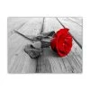 DECLIKTABLEAU Tableau Romantique Rose Rouge L.80 X H.55 Cm