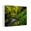MuchoWow Tableau Sur Toile Belle Image De La Jungle Decoration Murale 120x90 Cm