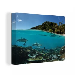 MuchoWow Tableau Sur Toile Corail - Requins - Mer Decoration Murale 120x90 Cm