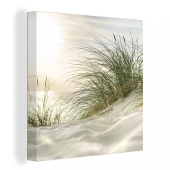 MuchoWow Tableau Sur Toile Dunes Avec Herbes De Plage Sous Le Soleil Du Parc Na...