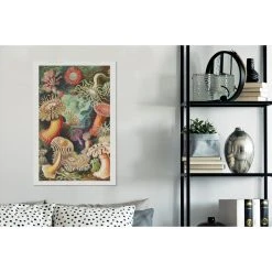 MuchoWow Tableau Sur Toile Ernst Haeckel - Anémone - Rétro - Actinae Decorati... -Dekliktableau Magasin tableau sur toile ernst haeckel anemone retro actinae decoration murale 60x90 cm 12471756 33283376 1140x1140