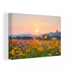 MuchoWow Tableau Sur Toile Fleurs - Coucher De Soleil - Montagne Decoration Mur...