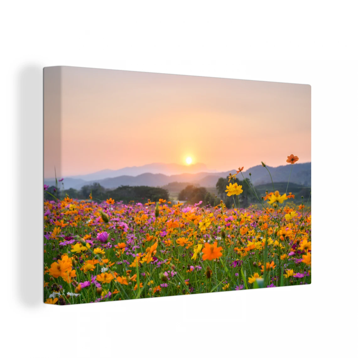 MuchoWow Tableau Sur Toile Fleurs - Coucher De Soleil - Montagne Decoration Mur...