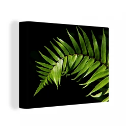 MuchoWow Tableau Sur Toile Gros Plan D'une Feuille De Fougère Sur Un Fond Noir...